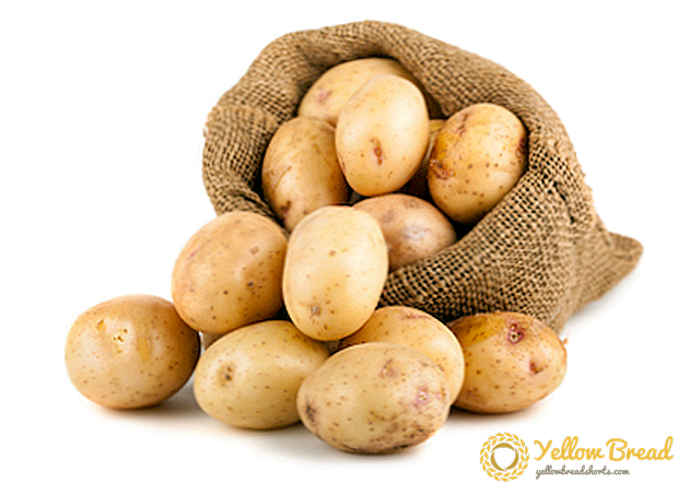 Gentagen forøgelse af høsten: Hvilke gødninger er der brug for til kartofler og hvordan man anvender dem korrekt?