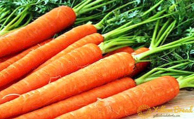 पारंपरिक दवा में गाजर के उपयोग के लिए व्यंजनों