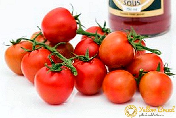 Tomat Marina Grove: plantering, vård, fördelar och nackdelar