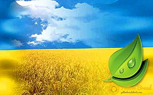 Lille, men betydelig sejr for økologiske producenter i Ukraine