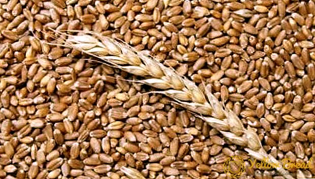 A jelenlegi szezonban Ukrajna növelte az export a szerves gabona