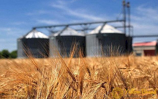 2016 년 우크라이나는 농산물 수출을 EU로 확대했다.