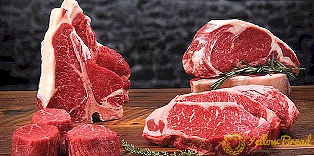 Oekraïne begint het programma voor de opleiding van nationale rundvleesproducenten voor de opening van de EU-markt