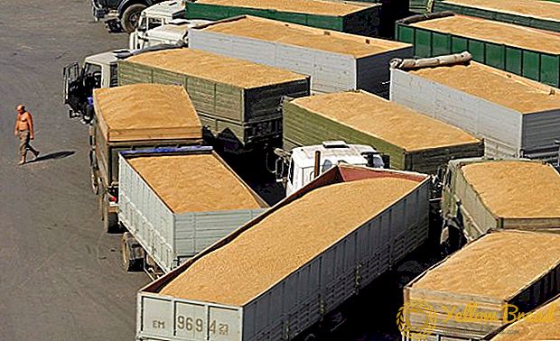 2016-2017 میں یوکرائن نے روایتی مارکیٹوں میں گندم کی فراہمی کو کم کر دیا ہے