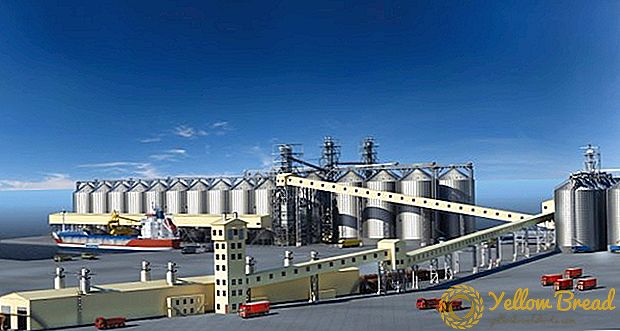 A Novotech-Terminal elkezdte megépíteni egy gabonatermet Odessza kereskedelmi tengeri kikötőjében