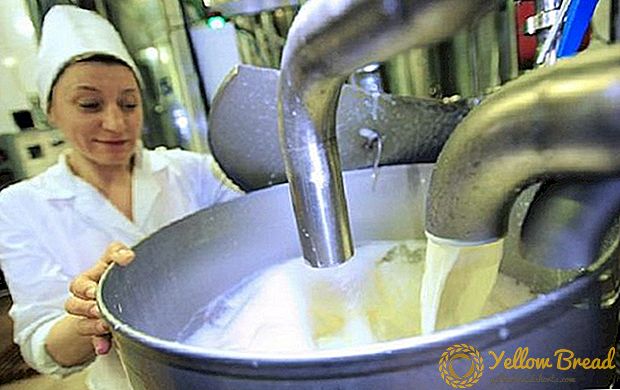 우유 걱정에 대한 구매 가격의 감소 우크라이나 농민