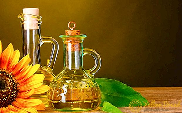 Since the beginning of the season, Ukraine has exported record volumes of sunflower oil with a high content of oleic acid.