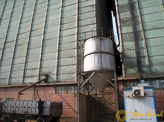 State Grain Corporation of Ukraine mengelakkan penswastaan