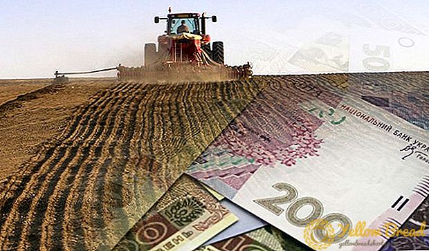 Statlig støtte fra ukrainske bønder vil bidra til å øke landbruksproduksjonen