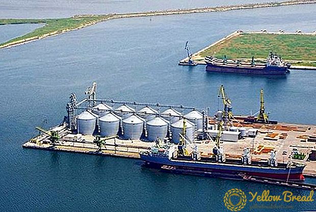 Die maatskappy Allseeds Black Sea begin met 'n logistieke projek vir die oordrag van oliesade