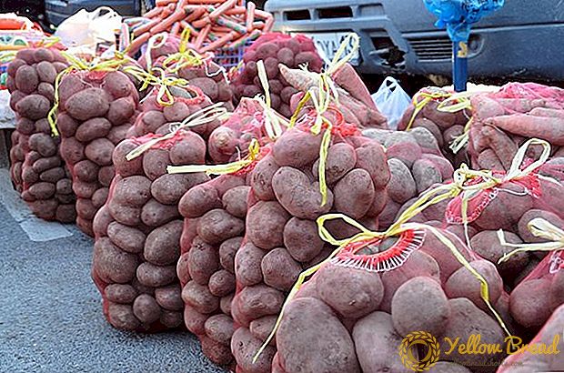 Kostnaden for poteter i Ukraina vil raskt øke