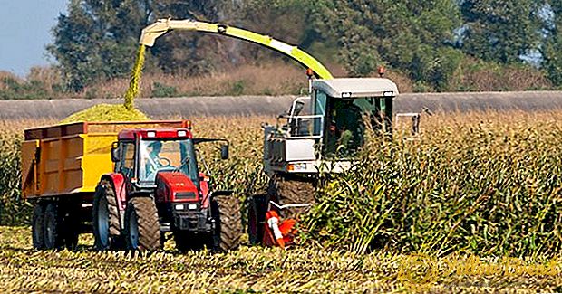 Yıl boyunca Ukrayna'da tarım ürünlerinin oluşturulması neredeyse% 14 oranında artmıştır.