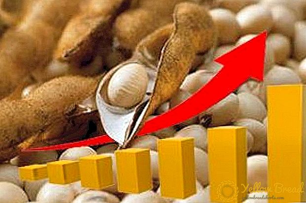 O potencial de exportación de soia ucraniana superará os 2,6 millóns de toneladas
