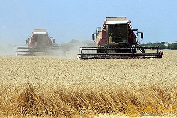 Regeringen godkendte proceduren for opretholdelse af subsidieregisteret til landbrugsproducenter