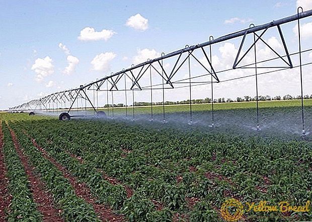 Menteri Pertanian Ukraina mengusulkan untuk memulihkan irigasi