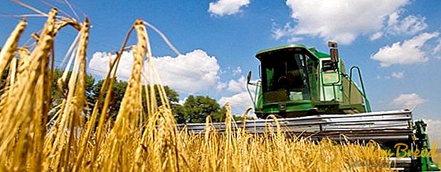 Ukraine ønsker at øge mængden af ​​landbrugsprodukter på EU-markederne