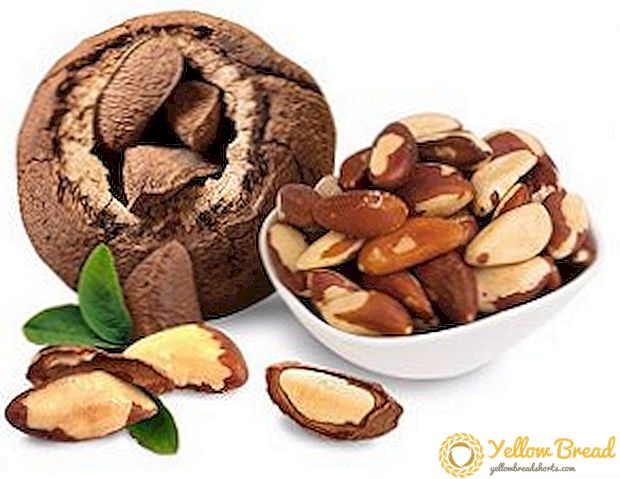 How is Brazil nut useful?