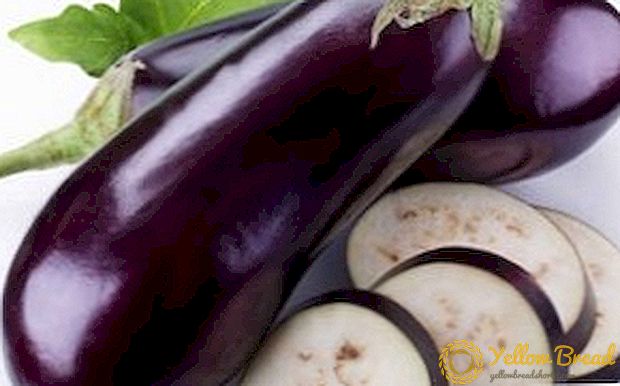 De beste soorten aubergines voor de teelt in Siberië