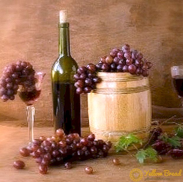 Welke druivensoorten zijn geschikt voor wijn?