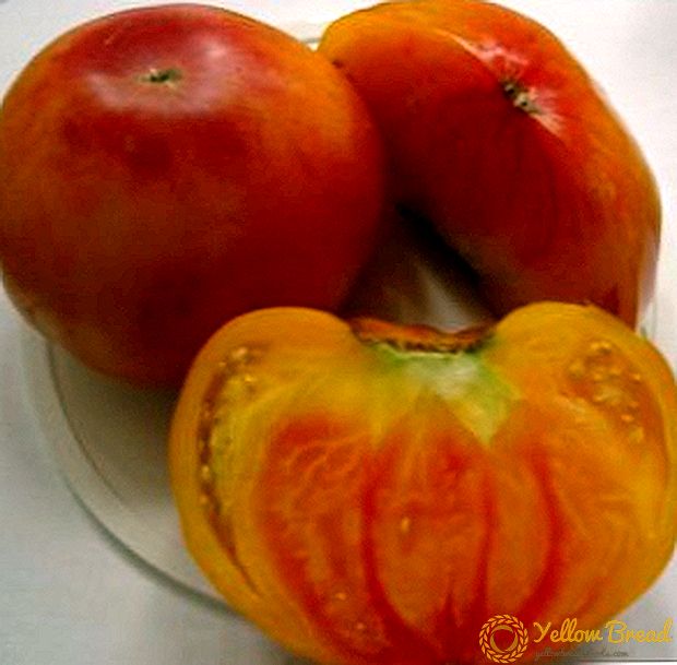 Grapefruit Tomatoes