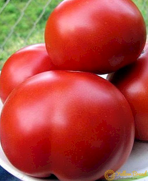 Ki jan yo grandi tomat 