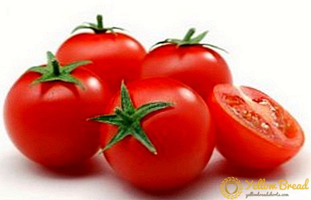 Hvordan man dyrker tomater 