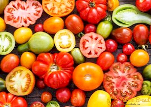 במקור מתוך אלטאי: עגבניות מגוון ורוד Abakansky
