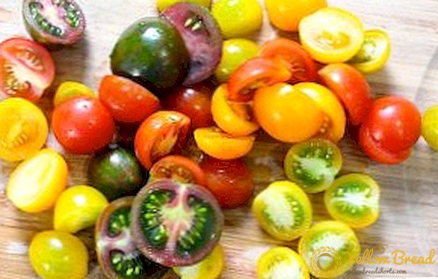 De beste rassen van tomaat resistent tegen Phytophthora