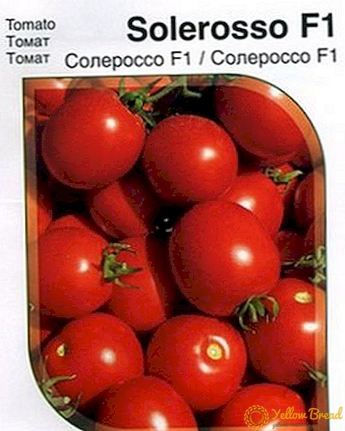 Bestämande hybrid av tomater Solersoso F1
