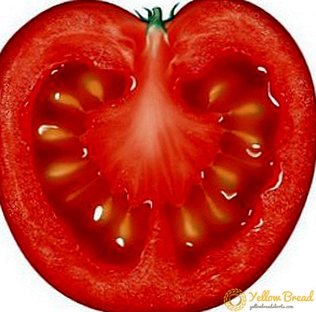 עגבנייה 