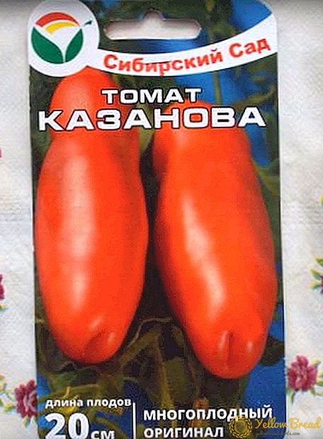 Tomaatti 