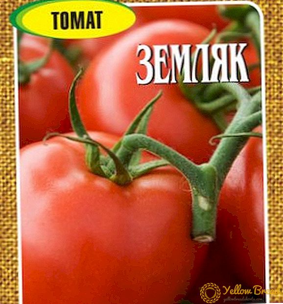 Deskripsi dan karakteristik Tomat 
