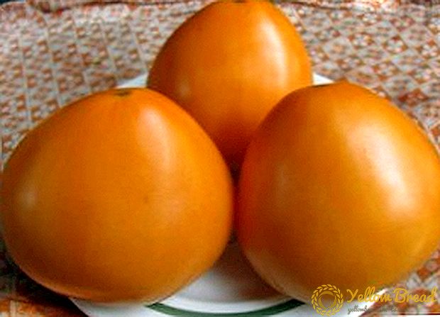 トマト「ゴールデンドーム」 - 甘いレタスのトマト