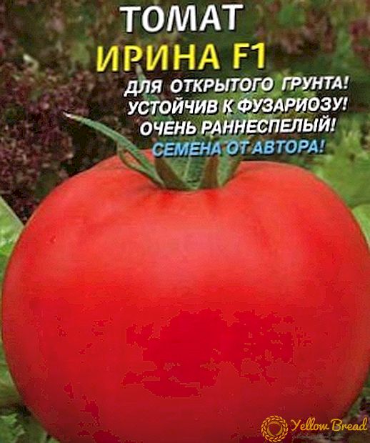 Tomat Irina f1 - byen bonè mi ak kontra enfòmèl ant varyete