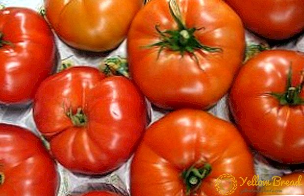 Tomat Salad Cap Monomakh: foto, deskripsi lan panen