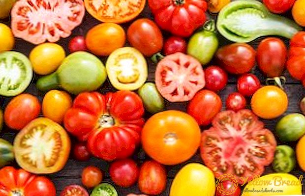 당신의 테이블에 가장 적합한 10 가지 토마토 종류