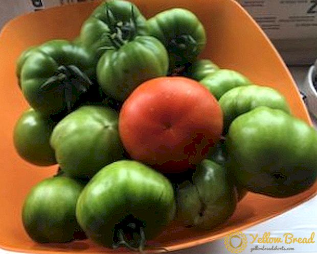 Разновидност од домати 