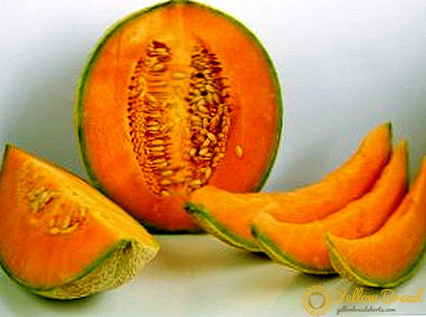 Melon pou sezon fredi a: konpot, konfiti, siwo myèl nan yon melon