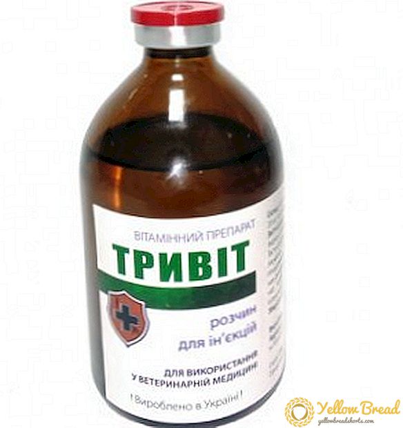 «Trivit»: сипаттамасы, фармакологиялық қасиеттері, нұсқаулары