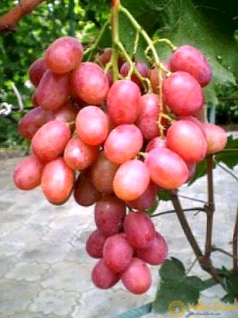 Одделение на грозје 