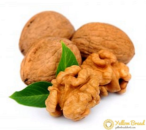 Ang mga benepisyo at pinsala ng mga walnuts, ginagamit sa medisina at kosmetolohiya