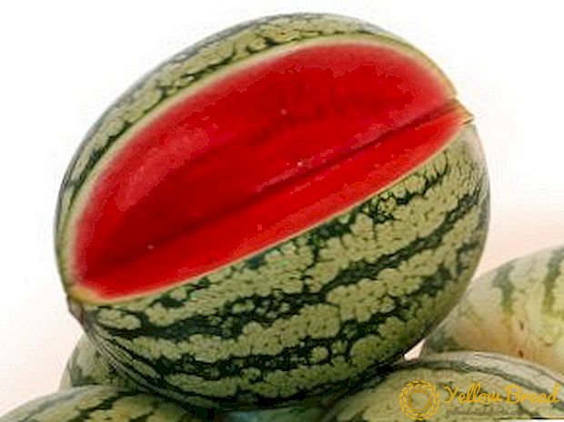 Typer af vandmeloner og deres fordele for den menneskelige krop