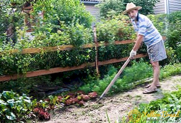 Hoe Fokin vlakke snijder in de tuin te gebruiken